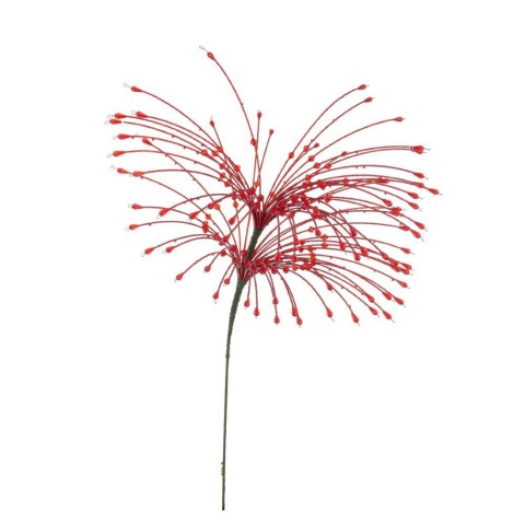 RAMO ZACARY ROSSO H.63